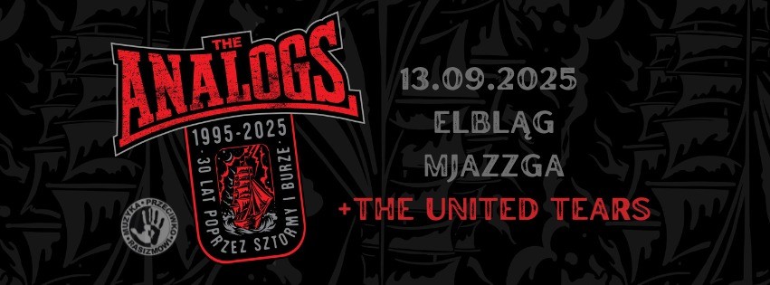 MUZYKA PRZECIWKO RASIZMOWI: THE ANALOGS W ELBLĄGU