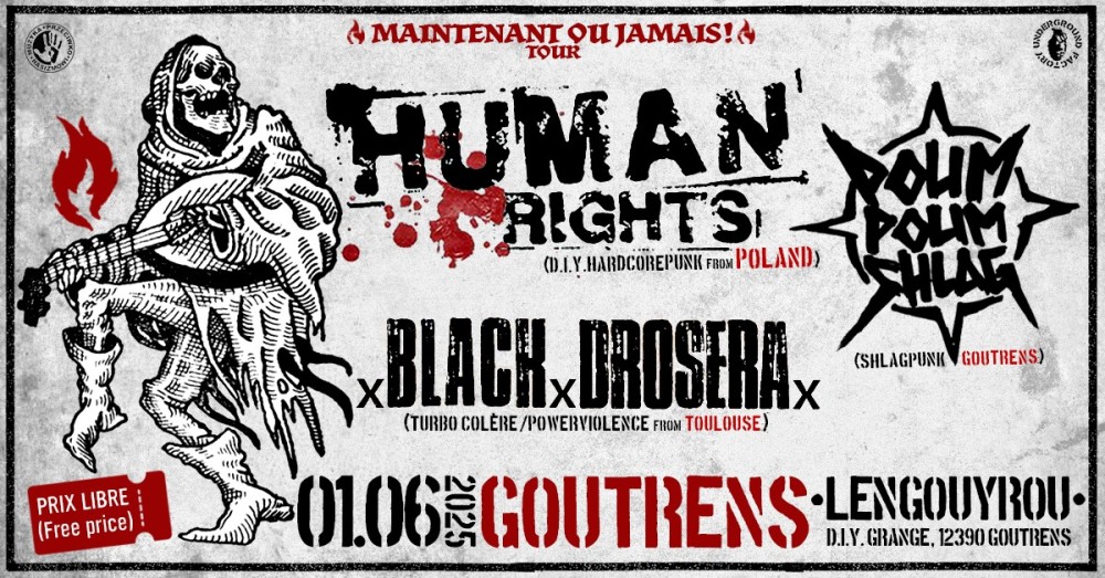 MUZYKA PRZECIWKO RASIZMOWI: POLSKO-FRANCUSKI KONCERT PUNKOWY